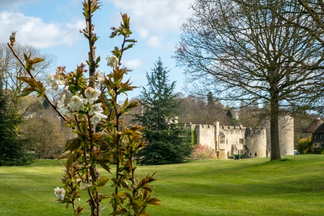 Allington Castle