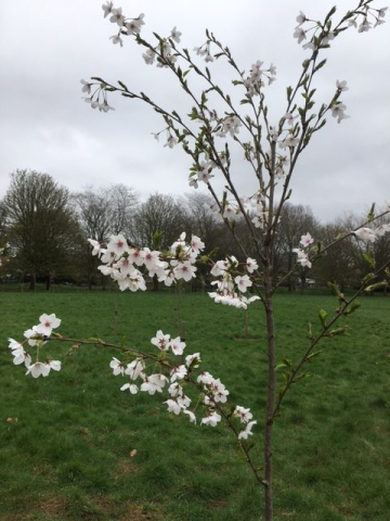 Gusbourne