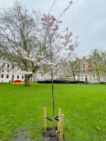 St James's Park