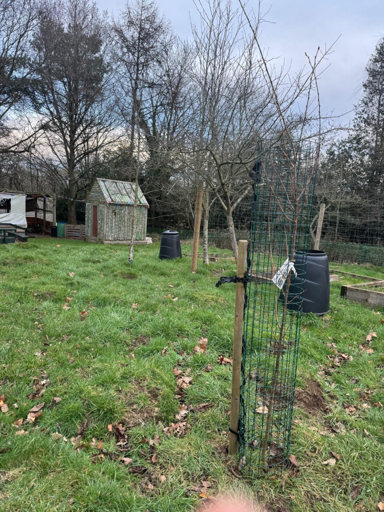 Far Forest Lea Memorial CofE Primary School planting Far Forest Lea Memorial CofE Primary School planting