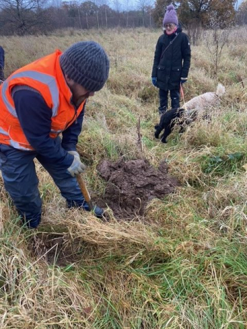 Berryfields Orchard planting day