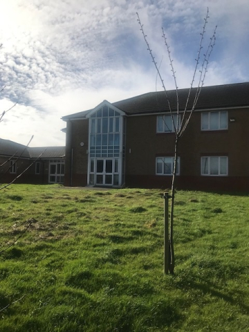 Hampden Park, Eastbourne planting ceremony