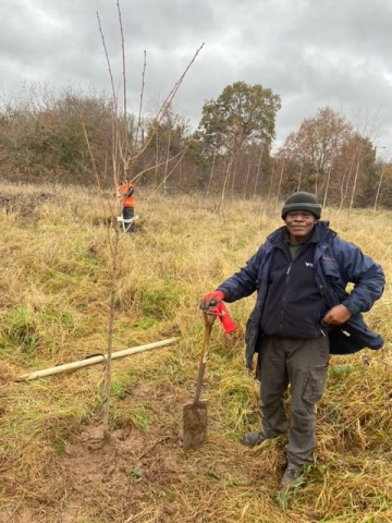 Berryfields Orchard planting day