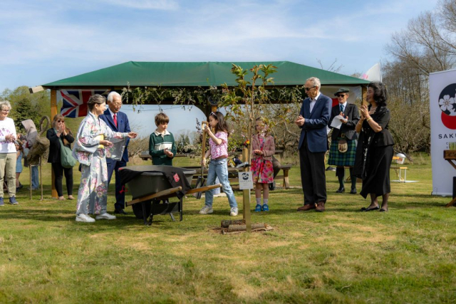 Beni-yutaka Cherry Planting 2 (1)