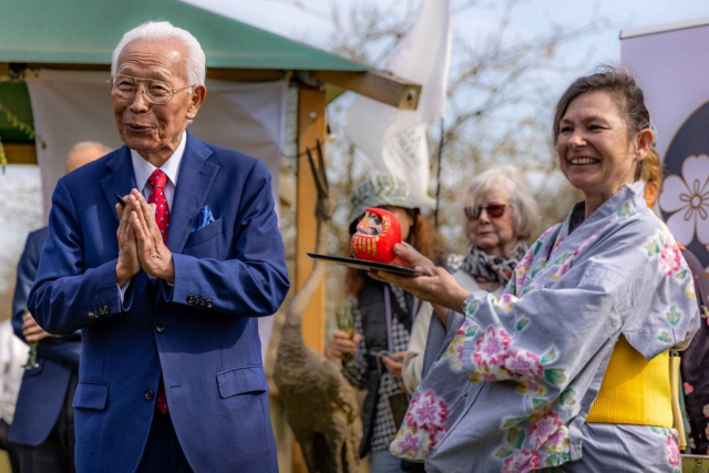 Daruma wishing doll 4 (1)