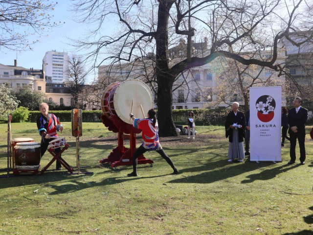 Taiko