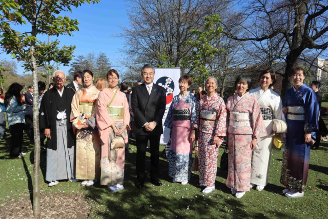 Kimono ladies