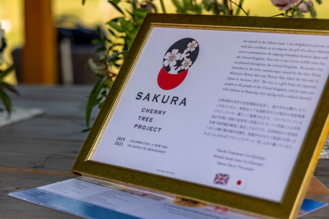 Sakura Project Certificate (2)