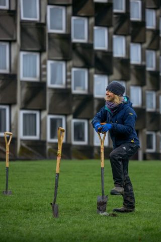 Sakura Planting - St Andrews