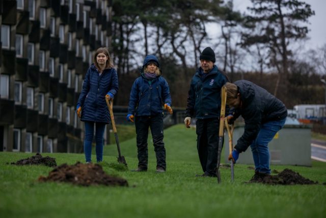 Sakura Planting - St Andrews