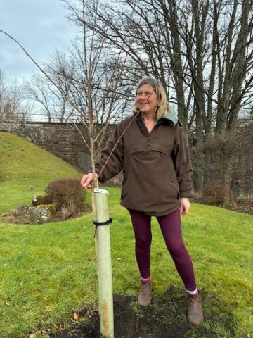 Sakura Project Brora Sutherland 1